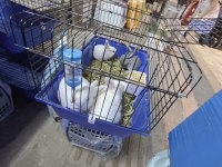 Tavşanlarım sağlık ve ırk garantilidir