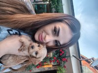 Üst Kalite Maltipoo Yavrularımız