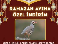 Kınalı keklikte fırsatları kaçırmayın