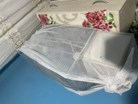 Çift Sultan Papağanı