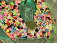 Su Kaplumbağaları Ve Tüm Malzemeleri Ayağınıza Geldi