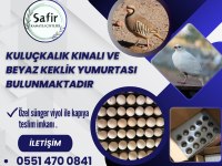 Kuluçkalık keklik yumurtası mevcuttur