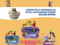 Antalya Adrese Teslim Hamster İsteyen