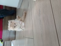 İlan Kaldırılmıştır.