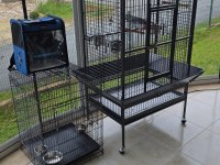 El Beslemesi Konuşan Jako Papağanı