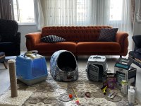 Kedimiz Yeni Sahibini Arıyor