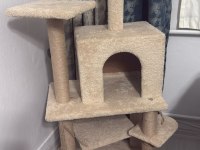 British Shorthair Malzemeleri İle Birlikte