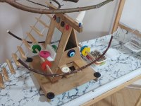 Sultan Papağanı Ve El Yapımı Oyun Kafesi