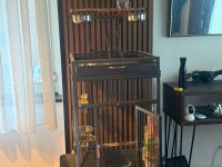 2 Yaşında Jako Erkek Kuşumuz