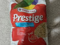 Yavru Alınmış Gökkuşağı İspinozları