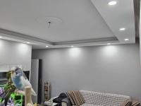 1.5 Aylık Muhabbet Kuşumu Sahiplendiriyorum