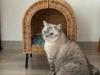 Mars'a Yuva Arıyoruz - Ücretsiz Scottish Straight