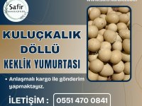 Kuluçkalık kınalı keklik ve beyaz keklik yumurtası