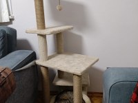 Nazlı Kızımız Kedimize Yuva