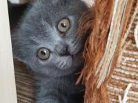 Yeni yuvamiza gitmeye hazırız