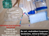 Tüm İstanbul İlçelerine Adrese Teslim Muhabbet Kuşu