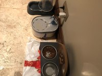 Kedimiz Sophie Ömürlük Yuvasını Arıyor