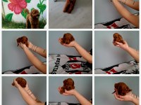 4 dişi 2 erkek poodle yavrularım