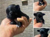 2.5 aylık çok akıllı benim güzel kızım