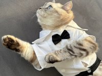 Mars'a yuva arıyoruz - ücretsiz scottish straight