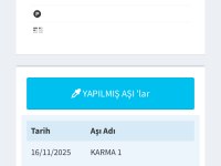 6 Aylık Dişi Kedimiz