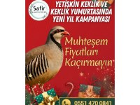 Yeni yıl kampanyası keklikler