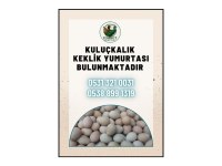 Kınalı, Beyaz, Silver Ve Albino Keklik Yumurtası