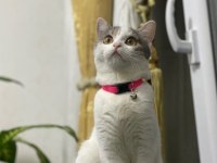 1 yaşında peri kızım