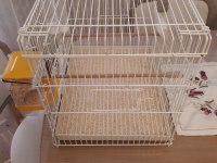 Üretime Hazır Muhabbet Kuşu Çifti Büyük Boy Kafes Seti