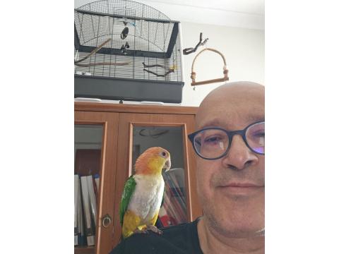 7 Aylık Bebek Caique