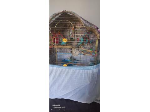 Yeme Yeni Düşen Kuşlarım Satılık