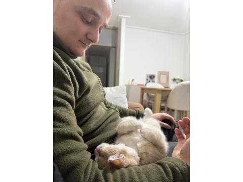 Henüz 4 Aylık Kedimiz