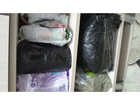 3 Aylık Ginepig Ve Tüm Malzemeleri Dahil