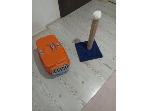 Erkek Oyuncu Kedimiz