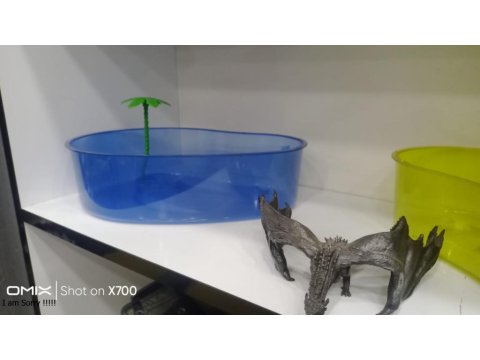 Prehistoricpets Güvencesi İle Kırmızı Yanaklı Kaplumbağa