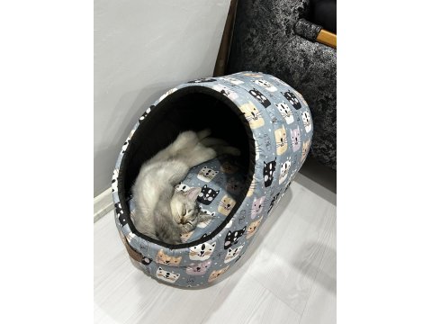 Kedimiz Yeni Sahibini Arıyor