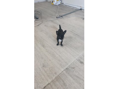 2.5 Aylık Çok Akıllı Benim Güzel Kızım