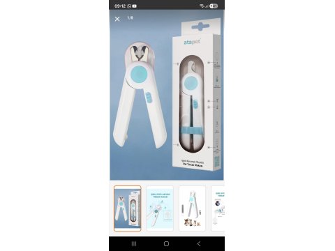 5 Ağustos Doğumlu British Blue Point