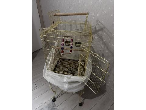 1.5 Yaşında Erkek Gül Kakadu