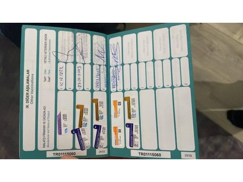 Ücretsiz Maltese Terrier