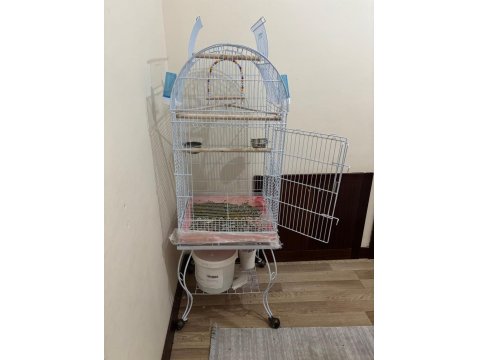 Dişi Sultan Papağanı Ve Kafesi