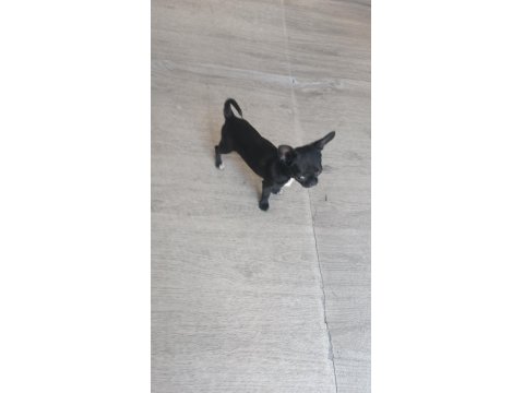 2.5 Aylık Çok Akıllı Benim Güzel Kızım