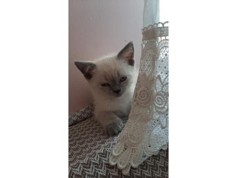 Yeni Yuvamiza Gitmeye Hazırız