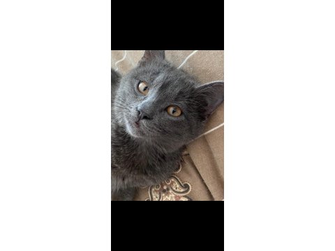 Kedime İyi Bir Aile Arıyorum Takip Şartı İle