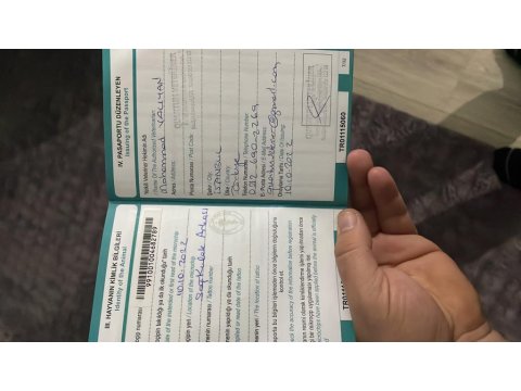 Ücretsiz Maltese Terrier