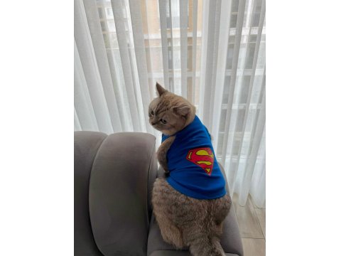 Mars'a Yuva Arıyoruz - Ücretsiz Scottish Straight