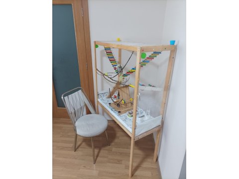 Sultan Papağanı Ve El Yapımı Oyun Kafesi