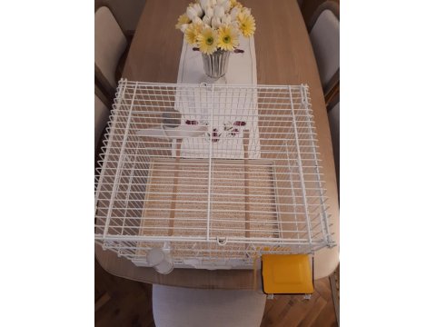 Üretime Hazır Muhabbet Kuşu Çifti Büyük Boy Kafes Seti