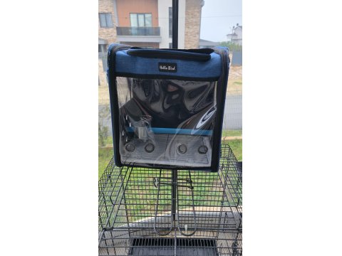 El Beslemesi Konuşan Jako Papağanı