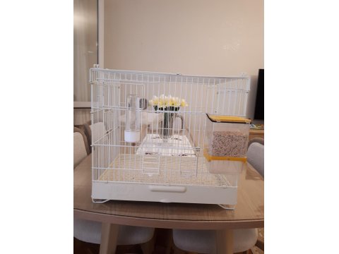 Üretime Hazır Muhabbet Kuşu Çifti Büyük Boy Kafes Seti